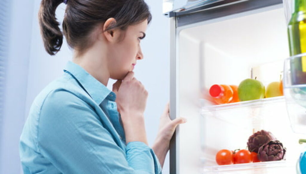 smelly fridge problems